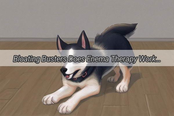 Bloating Busters Does Enema Therapy Work for Your Poochs Tummy Troubles